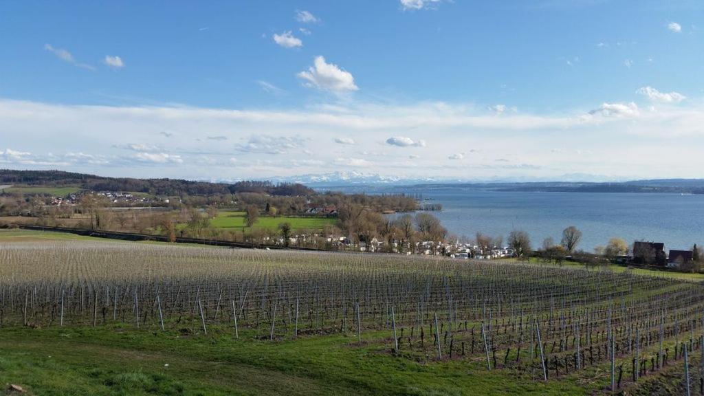 Ferienwohnung Treibgut Uhldingen-Mühlhofen Kültér fotó
